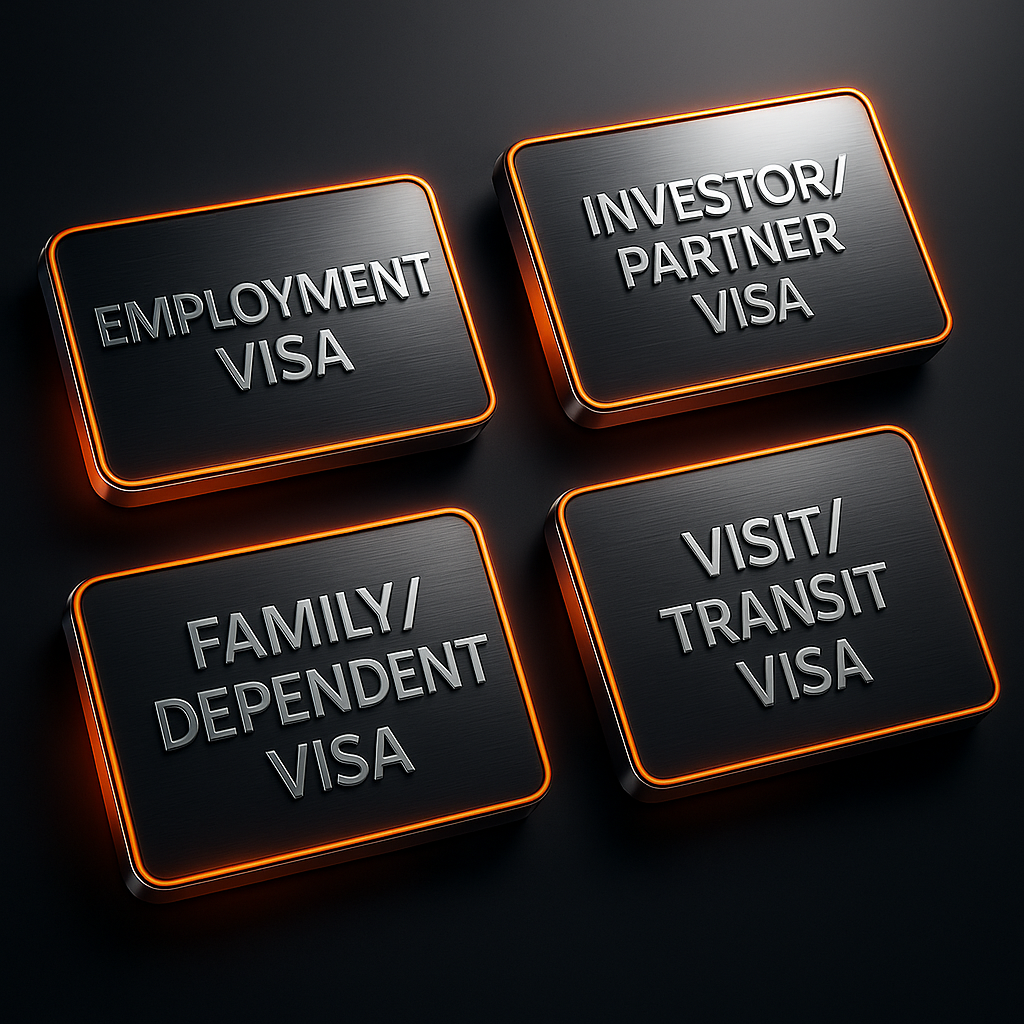 DMCC Visa Services
